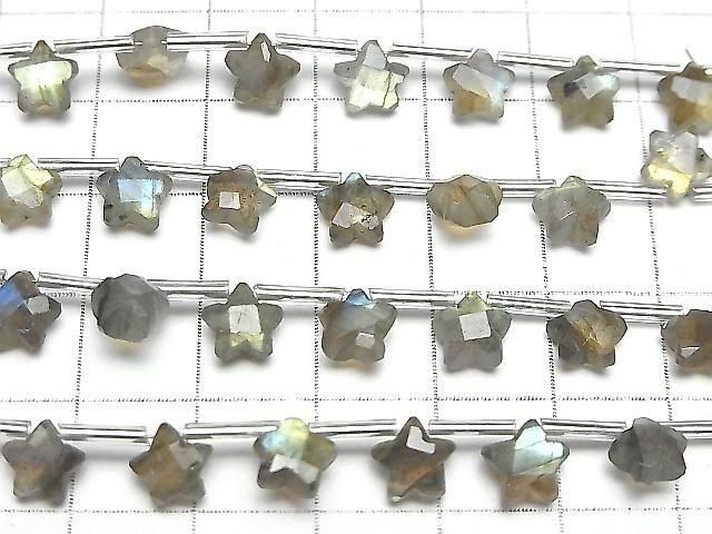 Labradorit AA++ facettierter Stern 6x6mm 1Strang Perlen (8Stück)