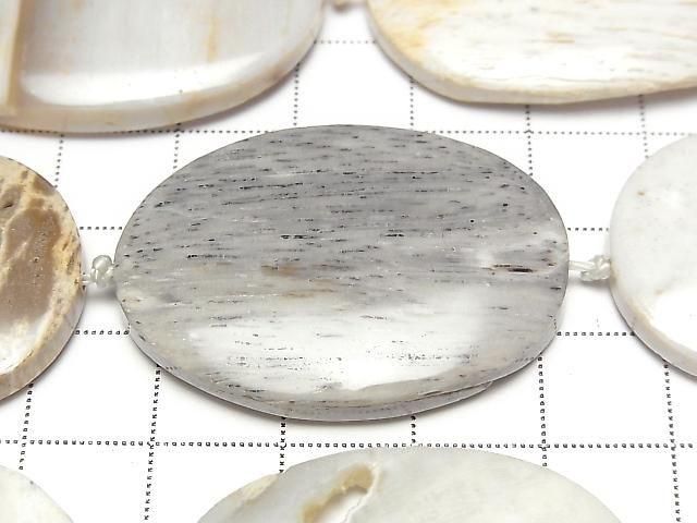 Versteinerte Holz flach oval halb oder 1 Strang Perlen (ca. 13 Zoll/32 cm)