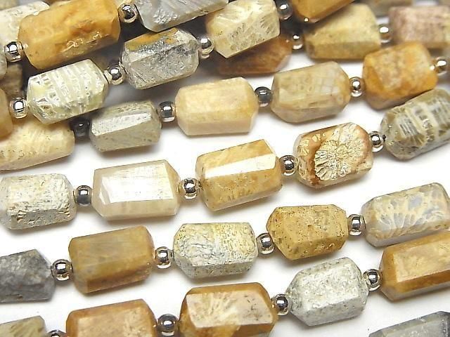 Fossilkoralle facettierter Nugget 1 Strang Perlen (ca. 7 Zoll/18 cm)