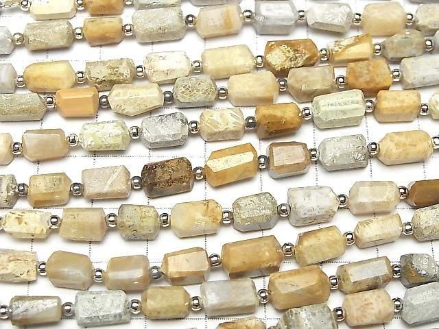 Fossilkoralle facettierter Nugget 1 Strang Perlen (ca. 7 Zoll/18 cm)