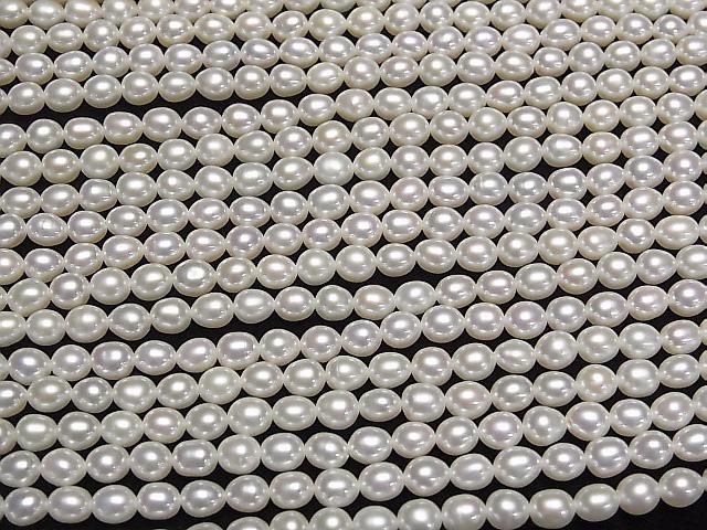Süßwasserperle AA++ Reis 5x4x4mm Weiß 1Strang Perlen (ca. 15 Zoll/36 cm)
