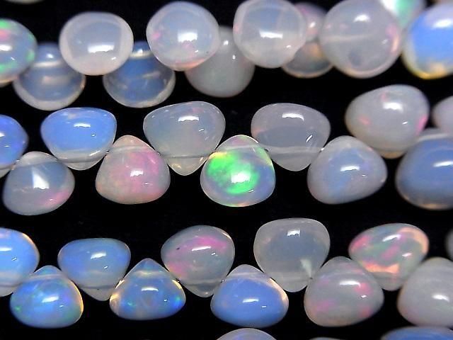 Äthiopischer Lila Opal Zwiebel (Glatt) halb oder 1strang (18cm)