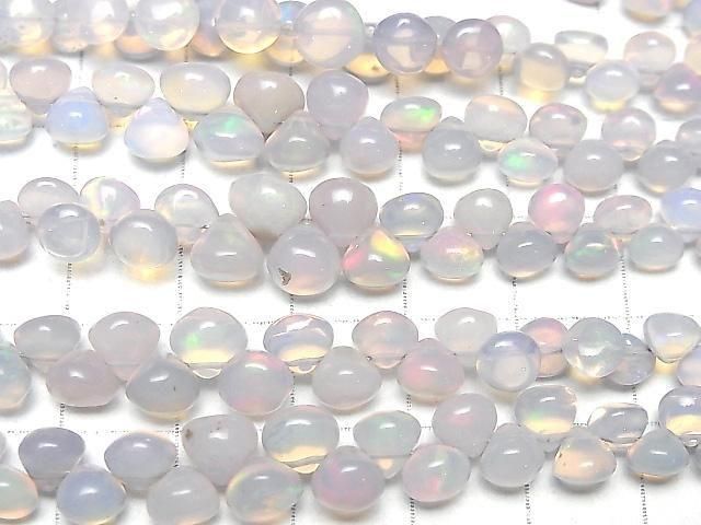 Äthiopischer Lila Opal Zwiebel (Glatt) halb oder 1strang (18cm)