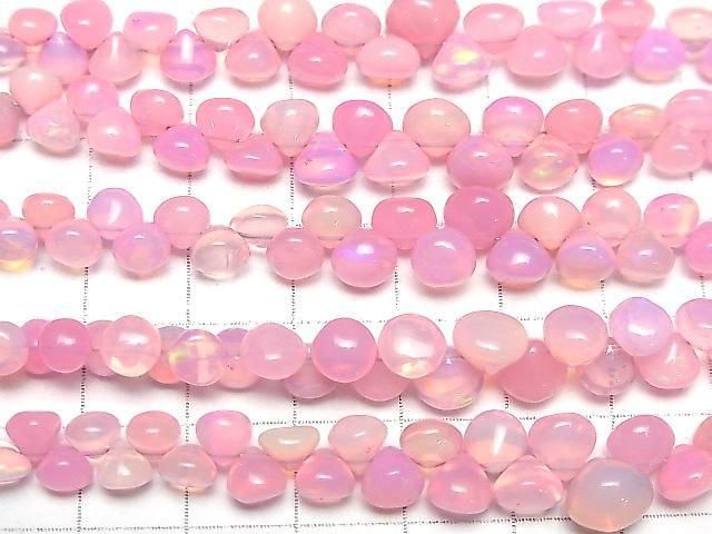 Äthiopischer Rosa Opal Zwiebel (Glatt) halb oder 1strang (18cm)