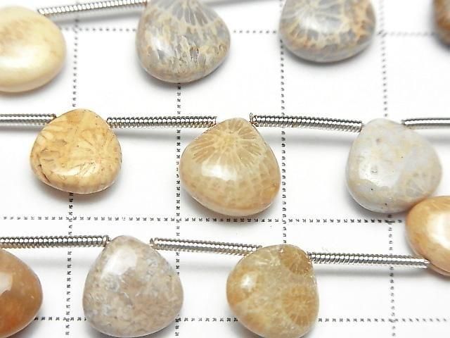 Fossil-Koralle Kastanie (glatt) 1Strang Perlen (11Stk)
