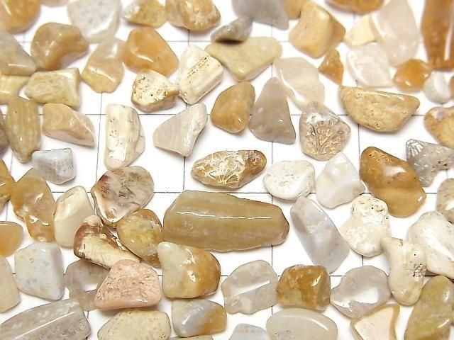 Fossil Coral Undrilled Chips 100g