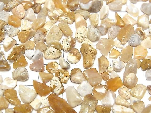 Fossil Coral Undrilled Chips 100g