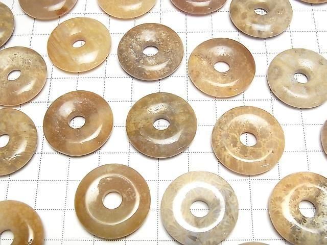 Fossilkoralle Münze (Donut) 25x25mm 2 Stück