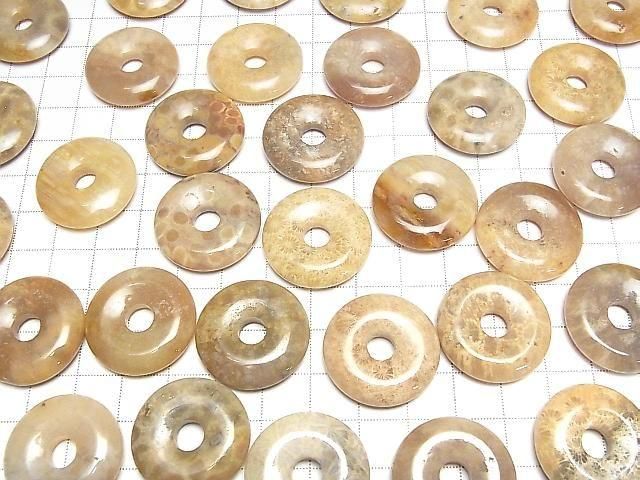Fossilkoralle Münze (Donut) 25x25mm 2 Stück