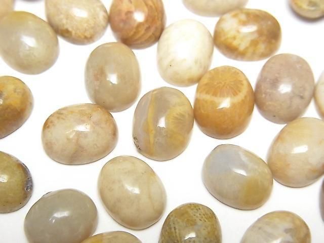 Fossilkoralle ovaler Cabochon 10x8mm 5 Stück