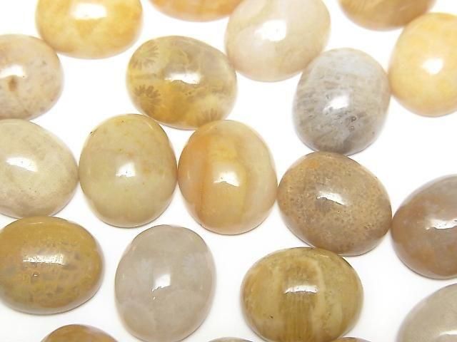 Fossilkoralle ovaler Cabochon 12x10mm 4 Stück