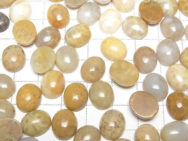 Fossilkoralle ovaler Cabochon 12x10mm 4 Stück