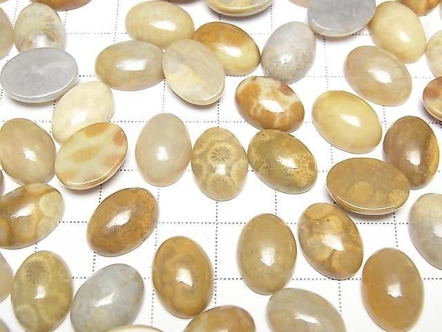 Fossilkoralle ovaler Cabochon 14x10mm 2 Stück
