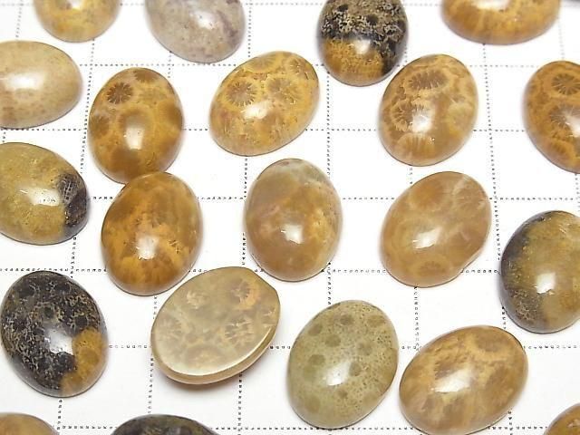 Fossilkoralle ovaler Cabochon 16x12mm 2 Stück