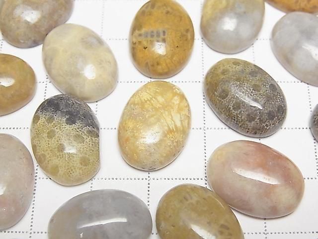 Fossilkoralle ovaler Cabochon 18x13mm 2 Stück