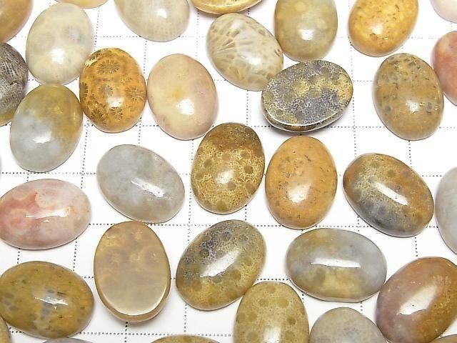 Fossilkoralle ovaler Cabochon 18x13mm 2 Stück