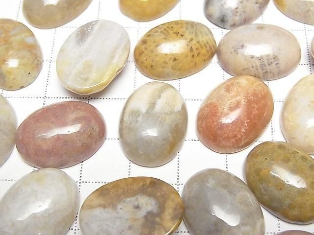 Fossilkoralle ovaler Cabochon 20x15mm 2 Stück