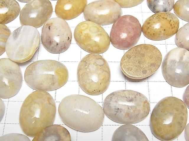Fossilkoralle ovaler Cabochon 20x15mm 2 Stück