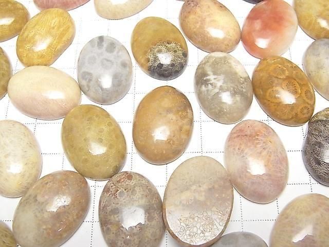 Fossilkoralle ovaler Cabochon 25x18mm 1 Stück