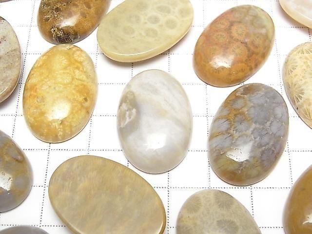 Fossilkoralle ovaler Cabochon 30x20mm 1 Stück