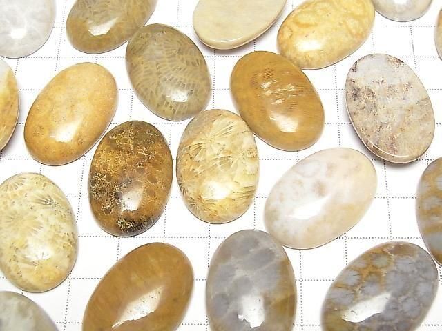 Fossilkoralle ovaler Cabochon 30x20mm 1 Stück