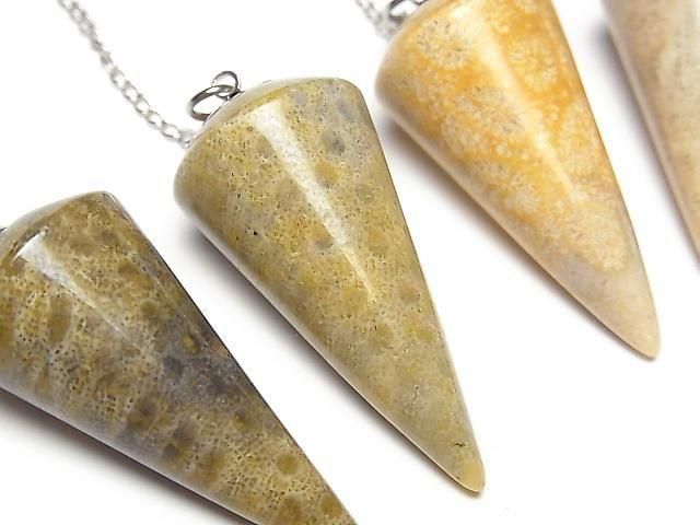 Fossil Coral Pendulum (Smooth) 36x18x18mm with Chain (1pc)