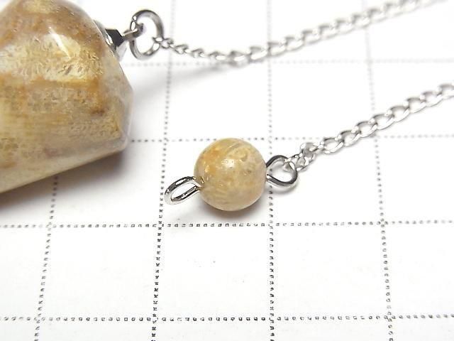 Fossil Coral Pendulum (Smooth) 36x18x18mm with Chain (1pc)