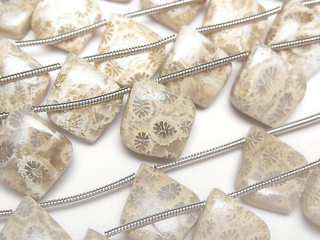 Fossil Coral Deformed Pear Shape (Smooth) 1 Strand (5pcs)