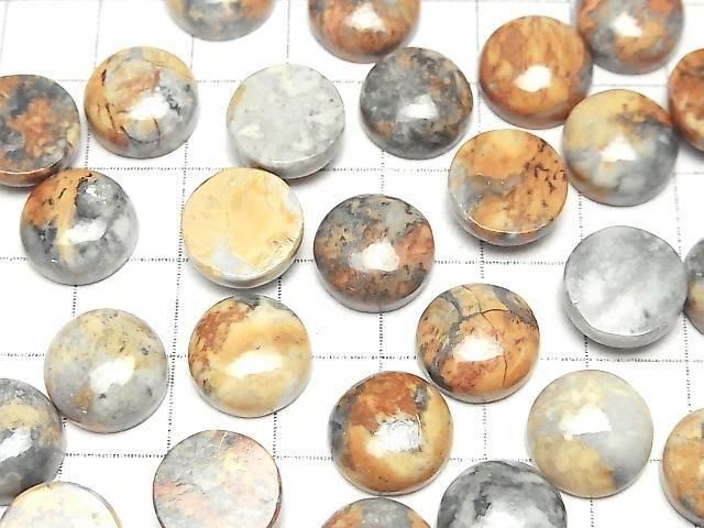 Marigano Jasper Round Cabochon 12x12mm 2pcs