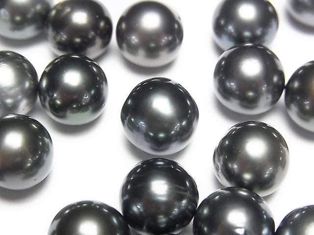 South Sea Tahitian Black Lipped Pearl AA+ Round Semi Round 10-10.3mm 1pc