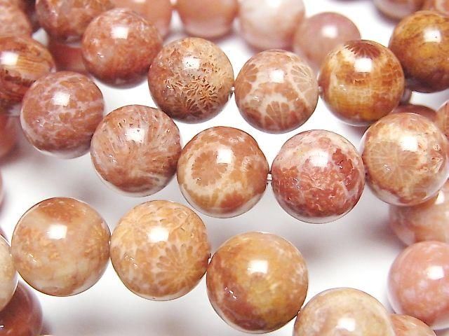 Fossil Coral Round 10mm 1strand beads (Bracelet)