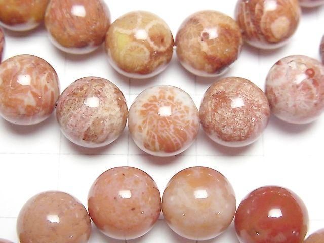 Fossil Coral Round 10mm 1strand beads (Bracelet)