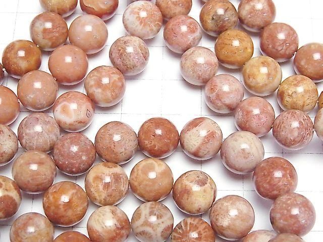 Fossil Coral Round 10mm 1strand beads (Bracelet)