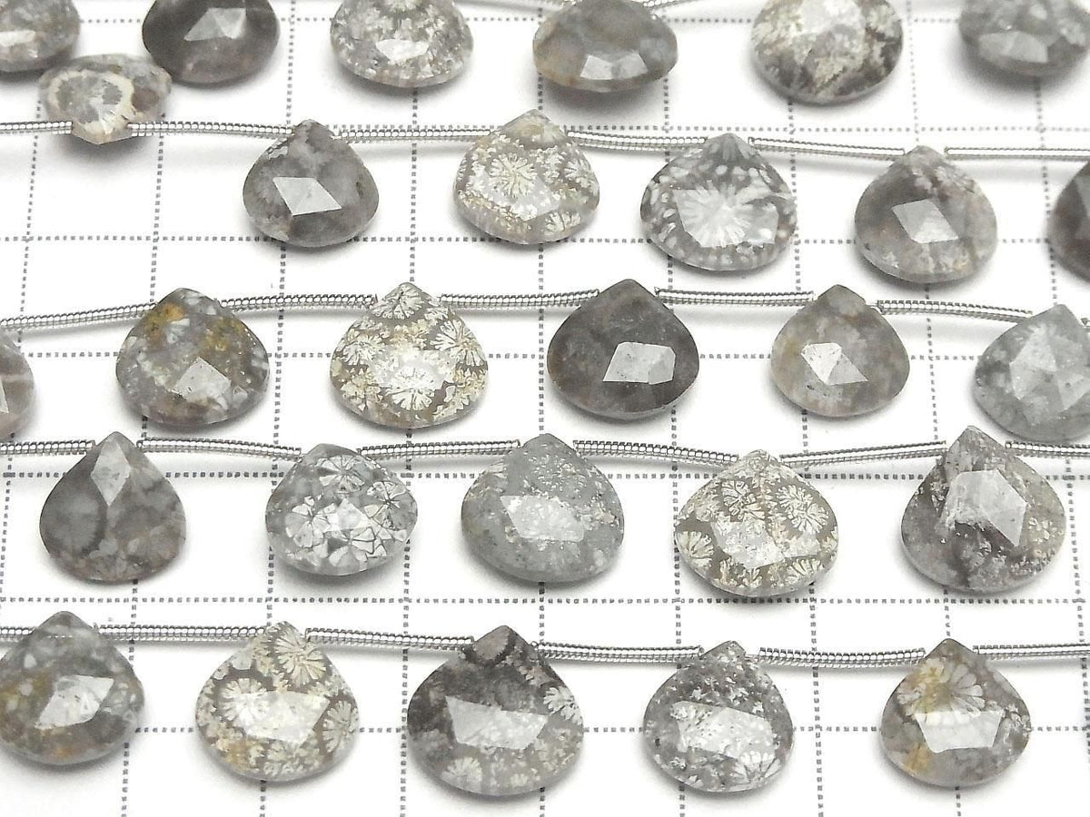 Fossil Coral Chestnut Faceted Briolette 1strand beads (10pcs )