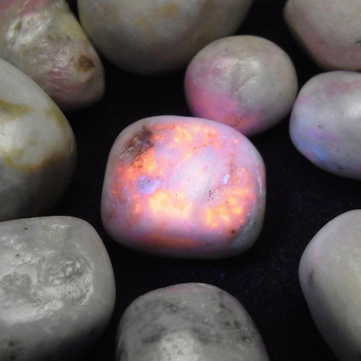 Hackmanite Undrilled Nuggets 100 grams