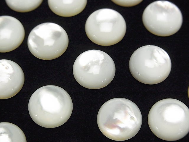 Hochwertige weiße Muschel (Silberlippen-Auster) AAA Runde Cabochon 10x10mm 5 Stück