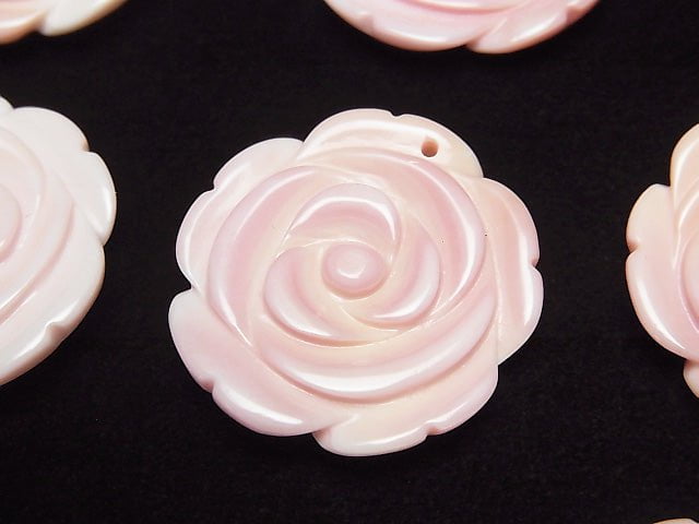 Königin Conch Muschel AAA - Rose 28mm 1Stück 8,79 $!