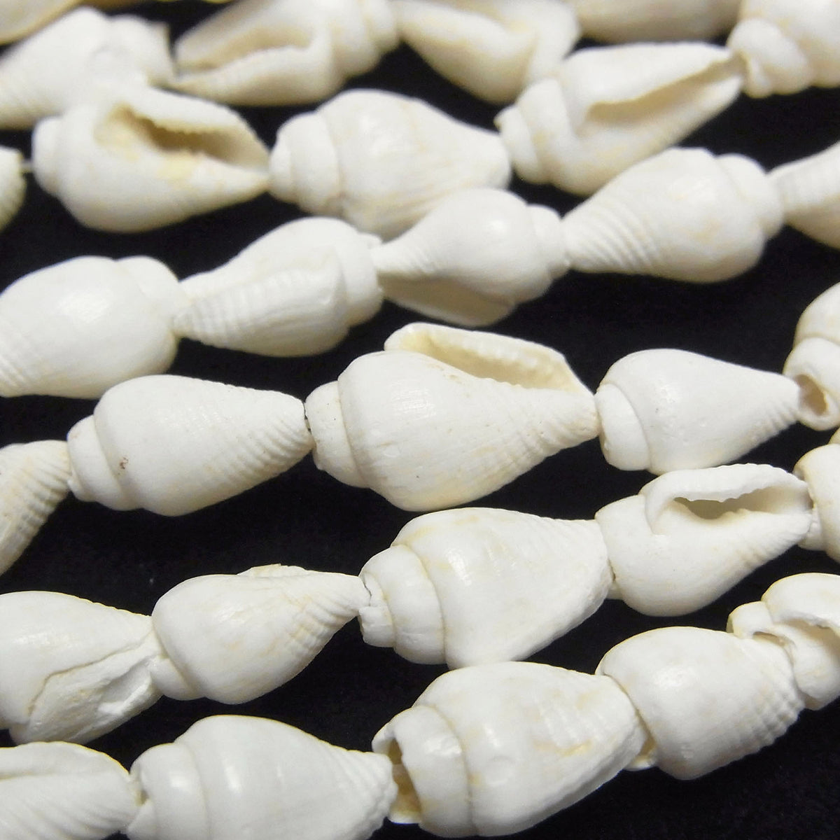 Spiral Shell beads Vertical Hole 1strand beads (aprx.57inch / 146cm)