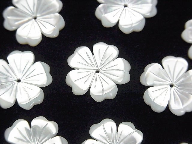 Hochwertige weiße Muschel AAA Blume 15mm Mittelbohrung 2 Stück