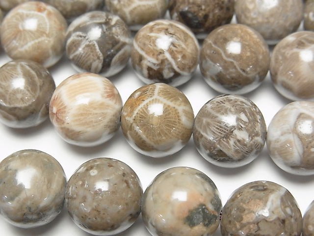 Fossilkoralle rund 12 mm halb oder 1 Strang Perlen (ca. 15 Zoll / 36 cm)
