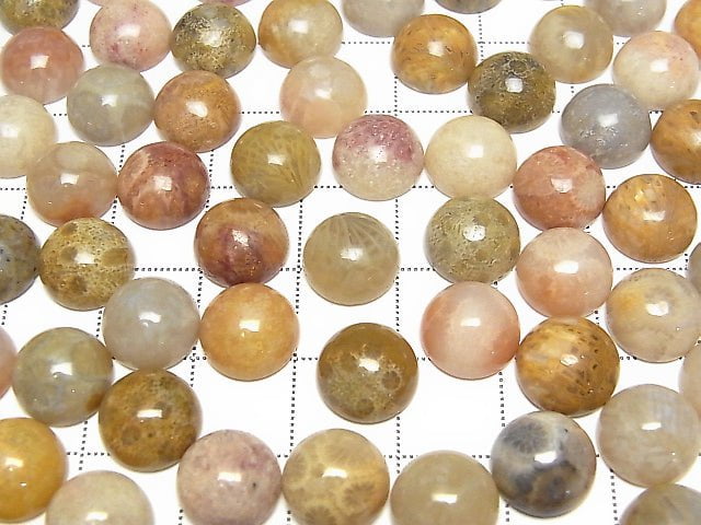 Fossiles Korallen Rund Cabochon 10x10mm 5Stücke