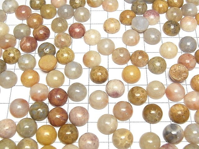 Fossiles Korallen Rund Cabochon 10x10mm 5Stücke