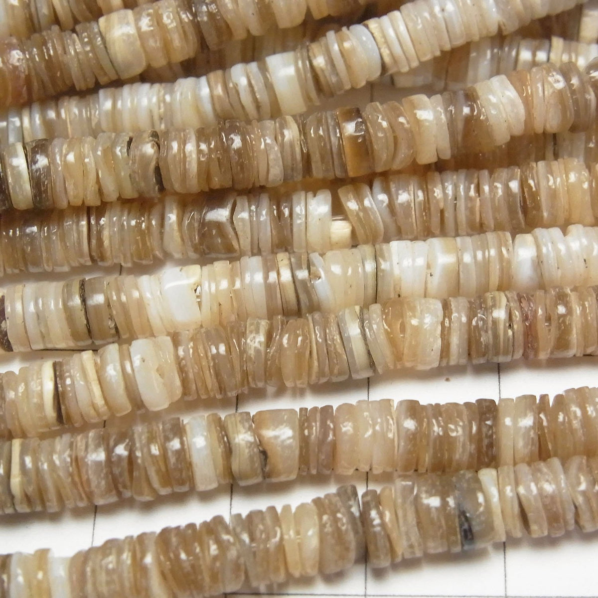 Muschel Rondelle (Heishi) 5x5x1.5mm 1Strang Perlen (ca. 59 cm)
