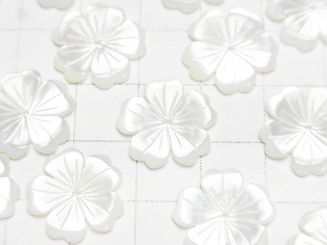 Hochwertige weiße Muschel AAA Blume 15mm Mittelbohrung 2 Stück