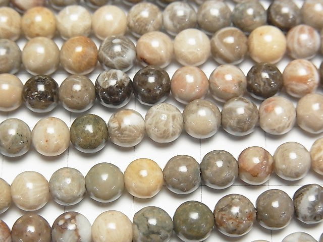 Fossil Coral Round 6mm 1strand beads (aprx.15inch/37cm)