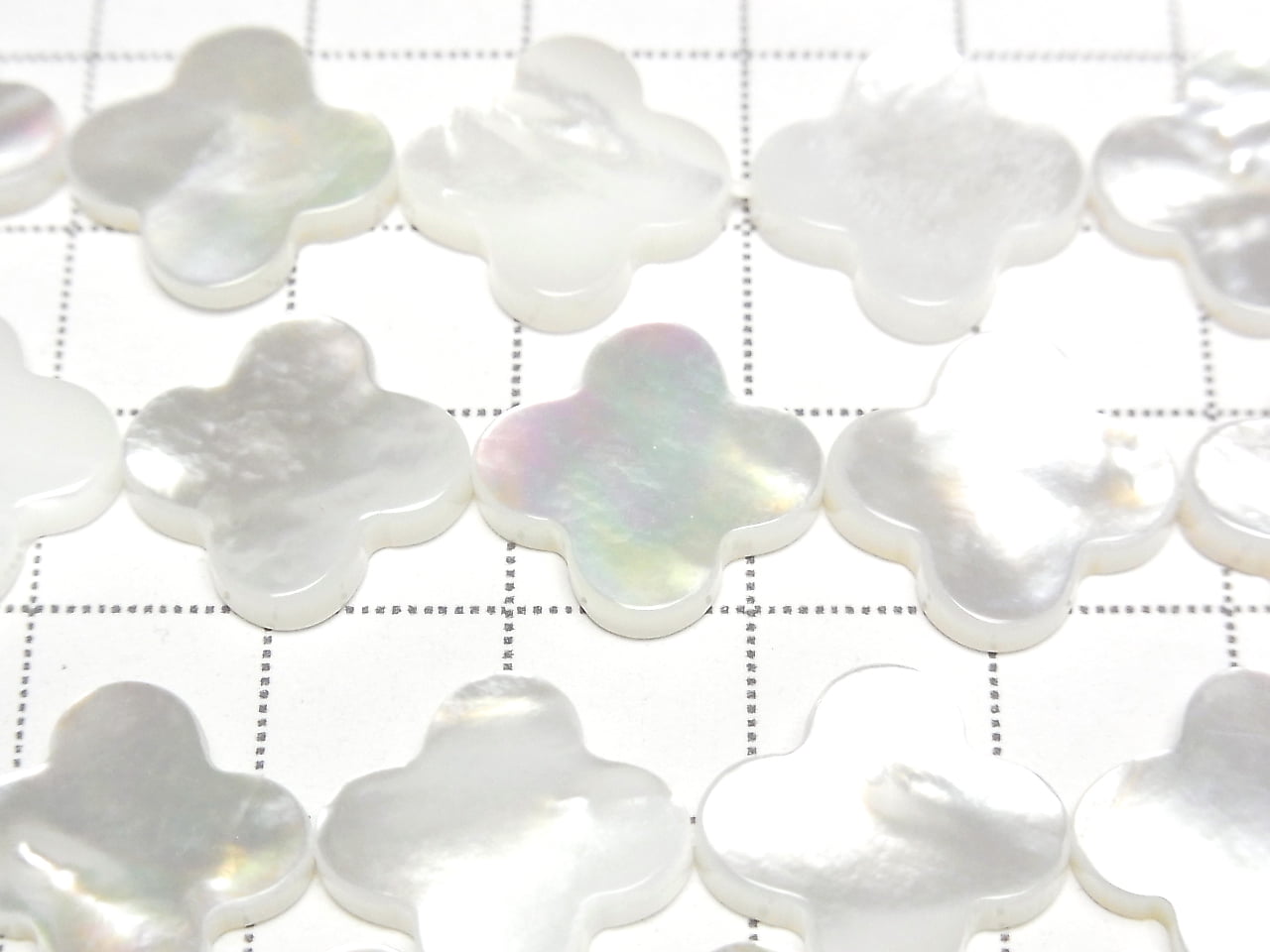 白貝殼AAA花朵圖案 15x15x3mm 1/4 或 1串珠子 (約15英吋/37公分)