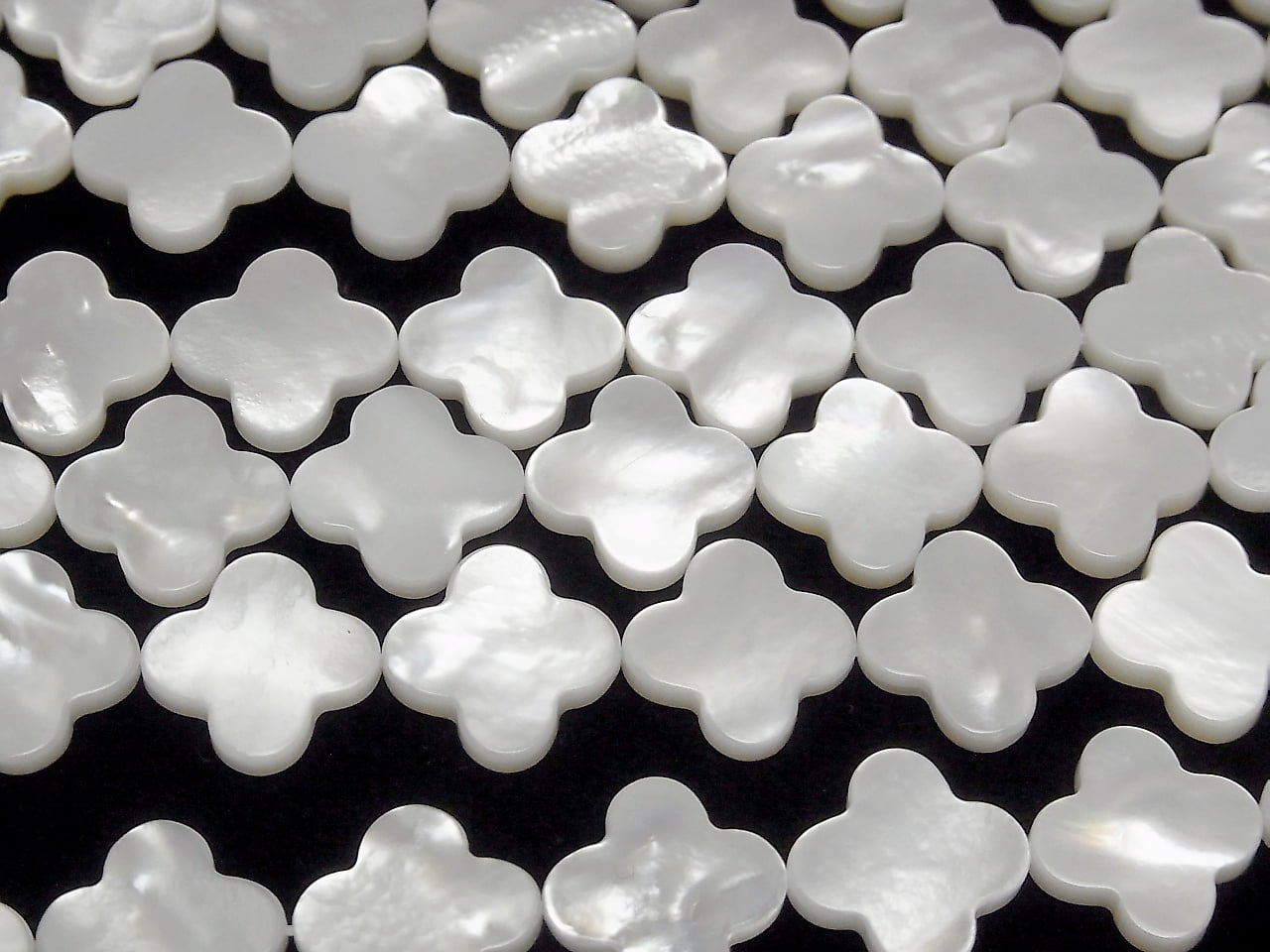 白貝殼AAA花朵圖案 15x15x3mm 1/4 或 1串珠子 (約15英吋/37公分)