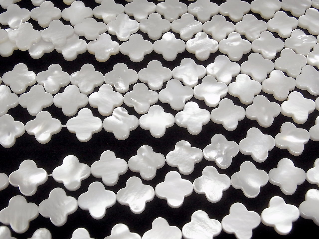 白貝殼AAA花朵圖案 15x15x3mm 1/4 或 1串珠子 (約15英吋/37公分)