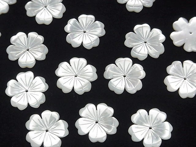 Hochwertige weiße Muschel AAA Blume 15mm Mittelbohrung 2 Stück
