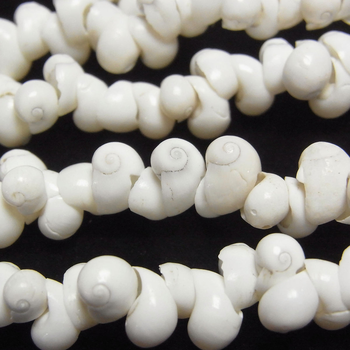 Mongo Shell 1strand beads (aprx.34inch/86cm)